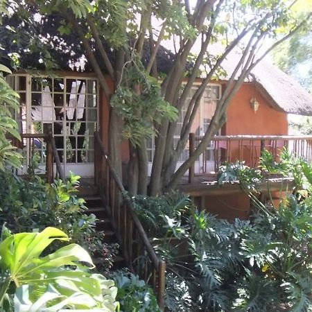 Treetops & Treats Guest House พริทอเรีย ภายนอก รูปภาพ