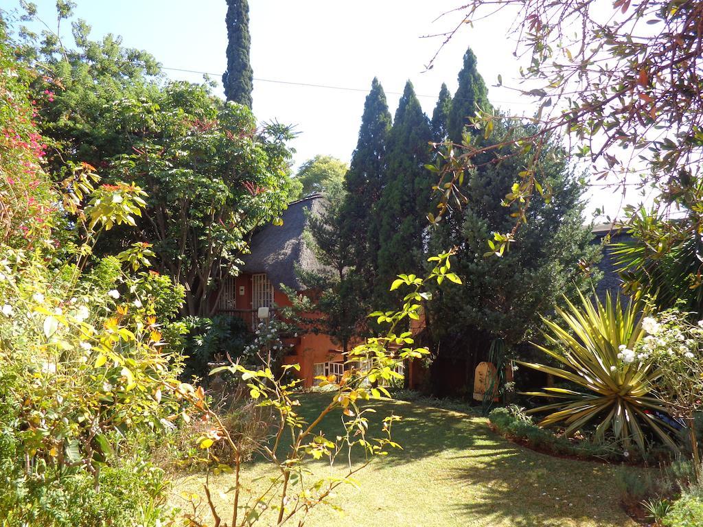 Treetops & Treats Guest House พริทอเรีย ภายนอก รูปภาพ